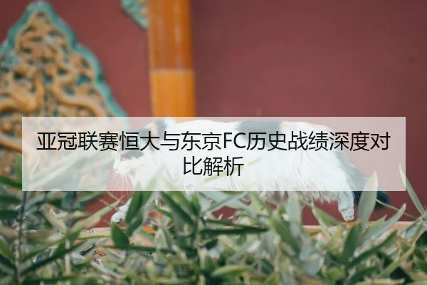 亚冠联赛恒大与东京FC历史战绩深度对比解析